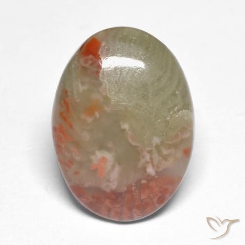 5.88ct 天然 マルチカラー サンゴ, 楕円形, 半透明