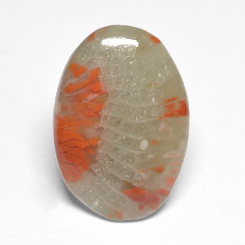 5.03カラットの天然マルチカラーサンゴ（17.4×12 mm・オーバルカット）