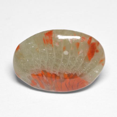 5.03カラットの天然マルチカラーサンゴ（17.4×12 mm・オーバルカット）