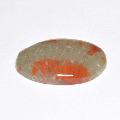 5.03カラットの天然マルチカラーサンゴ（17.4×12 mm・オーバルカット）