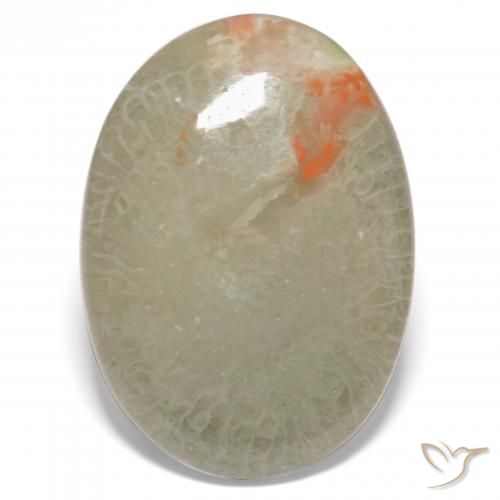 15.23ct 天然 マルチカラー サンゴ, 楕円形, 半透明, Photo A