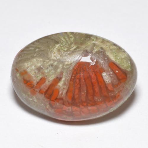 9.07カラットの天然マルチカラーサンゴ（17.5×12.4 mm・オーバルカット）