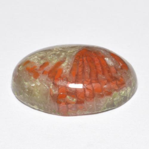 9.07カラットの天然マルチカラーサンゴ（17.5×12.4 mm・オーバルカット）