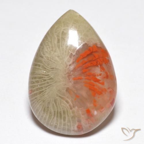10.46ct 天然 マルチカラー サンゴ, 洋梨の形, 半透明