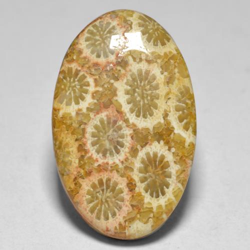 15.10カラットの天然マルチカラーサンゴ（23.3×14.6 mm・オーバルカット）