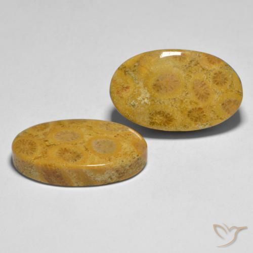 Shop natural 27.44ct マルチカラー サンゴ gems, 楕円形, from インドネシア at GemSelect. In stock, global shipping!