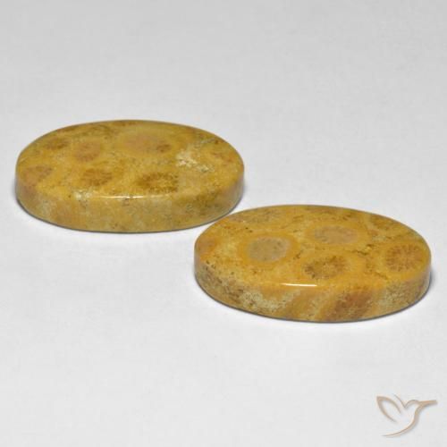Shop natural 27.44ct マルチカラー サンゴ gems, 楕円形, from インドネシア at GemSelect. In stock, global shipping!