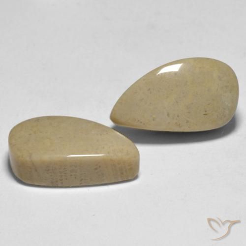 Shop natural 16.75ct マルチカラー サンゴ gems, ファンシー, from インドネシア at GemSelect. In stock, global shipping!