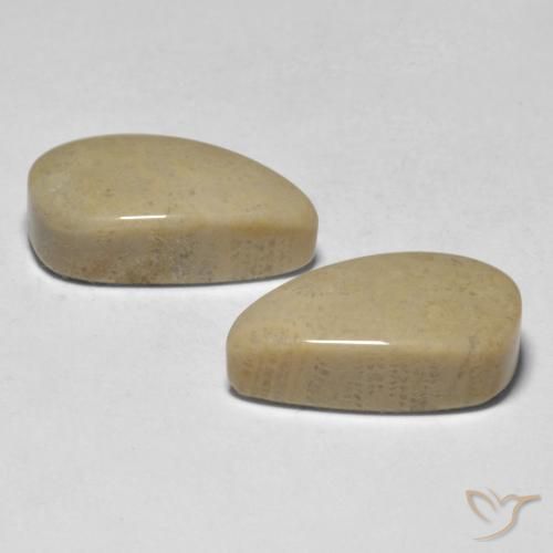 Shop natural 16.75ct マルチカラー サンゴ gems, ファンシー, from インドネシア at GemSelect. In stock, global shipping!