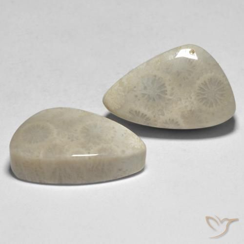 Shop natural 21.04ct マルチカラー サンゴ gems, ファンシー, from インドネシア at GemSelect. In stock, global shipping!