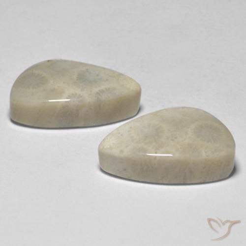 Shop natural 21.04ct マルチカラー サンゴ gems, ファンシー, from インドネシア at GemSelect. In stock, global shipping!