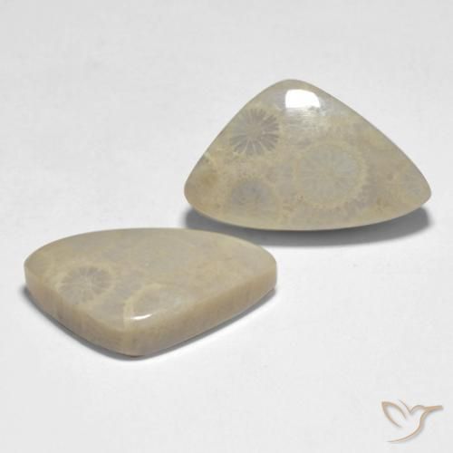 Shop natural 19.10ct マルチカラー サンゴ gems, ファンシー, from インドネシア at GemSelect. In stock, global shipping!