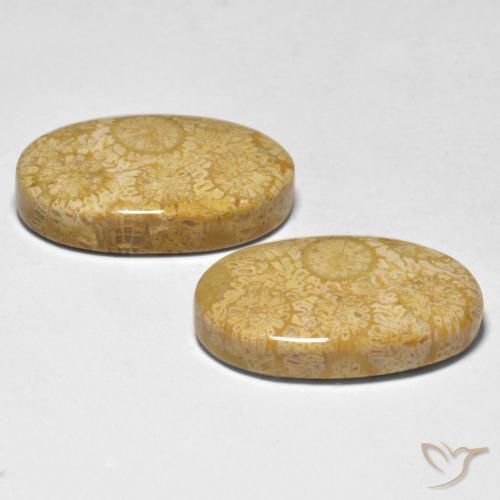 Shop natural 24.74ct マルチカラー サンゴ gems, 楕円形, from インドネシア at GemSelect. In stock, global shipping!