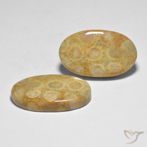 Shop natural 28.98ct マルチカラー サンゴ gems, 楕円形, from インドネシア at GemSelect. In stock, global shipping!