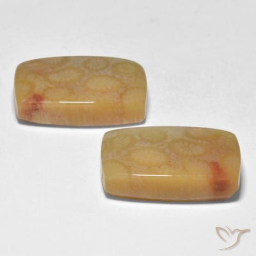 Shop natural 23.35ct マルチカラー サンゴ gems, クッション, from インドネシア at GemSelect. In stock, global shipping!