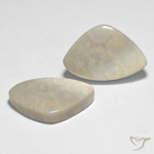 Shop natural 23.71ct マルチカラー サンゴ gems, ファンシー, from インドネシア at GemSelect. In stock, global shipping!