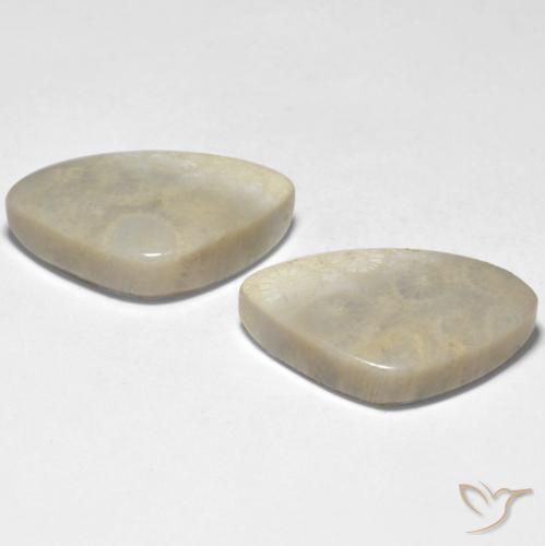 Shop natural 23.71ct マルチカラー サンゴ gems, ファンシー, from インドネシア at GemSelect. In stock, global shipping!