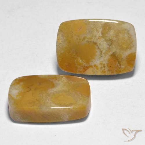 Shop natural 28.12ct マルチカラー サンゴ gems, クッション, from インドネシア at GemSelect. In stock, global shipping!