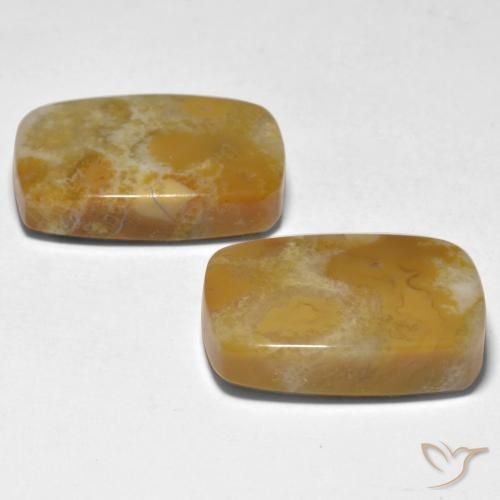 Shop natural 28.12ct マルチカラー サンゴ gems, クッション, from インドネシア at GemSelect. In stock, global shipping!
