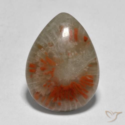 5.31ct 天然 マルチカラー サンゴ, 洋梨の形, 半透明