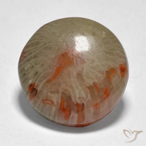 9.21ct 天然 マルチカラー サンゴ, ラウンド, 半透明, Photo A