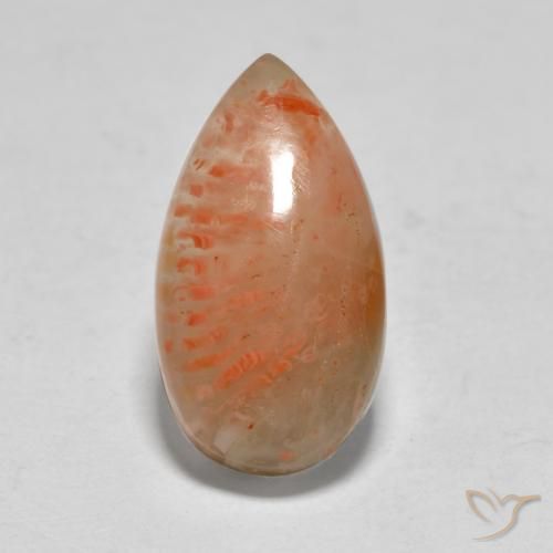 5.79ct 天然 マルチカラー サンゴ, 洋梨の形, 半透明