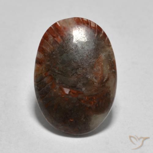 3.57ct 天然 マルチカラー サンゴ, 楕円形, 半透明