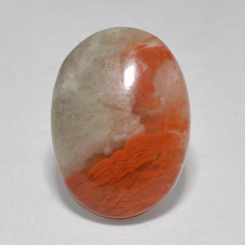 4.58カラットの天然マルチカラーサンゴ（14.1×10.3 mm・オーバルカット）