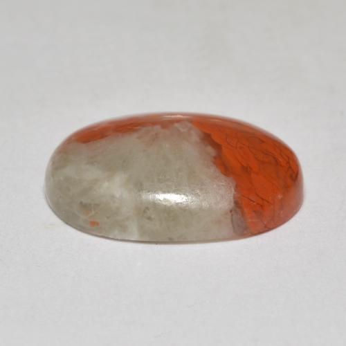 4.58カラットの天然マルチカラーサンゴ（14.1×10.3 mm・オーバルカット）