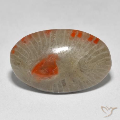 9.31ct 天然 マルチカラー サンゴ, 楕円形, 半透明