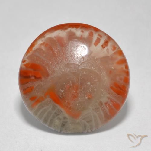 5.76ct 天然 マルチカラー サンゴ, ラウンド, 半透明