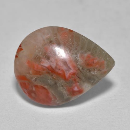 3.60カラットの天然マルチカラーサンゴ（12.8×10 mm・洋梨の形）