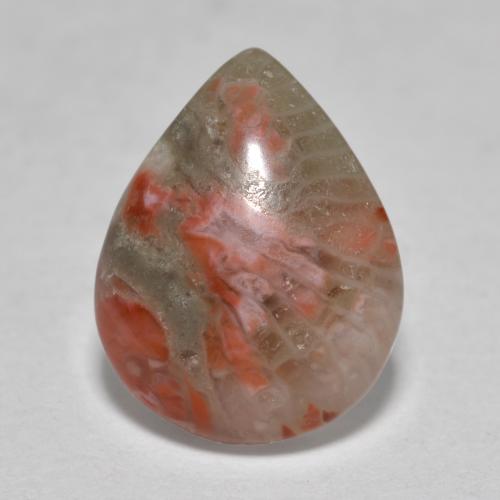 3.60カラットの天然マルチカラーサンゴ（12.8×10 mm・洋梨の形）