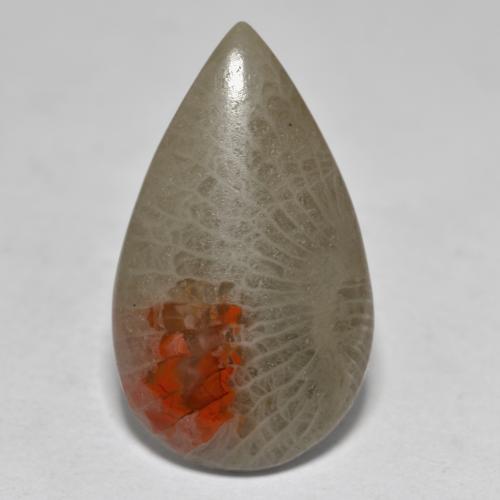 10.70カラットの天然マルチカラーサンゴ（23.6×13.9 mm・洋梨の形）