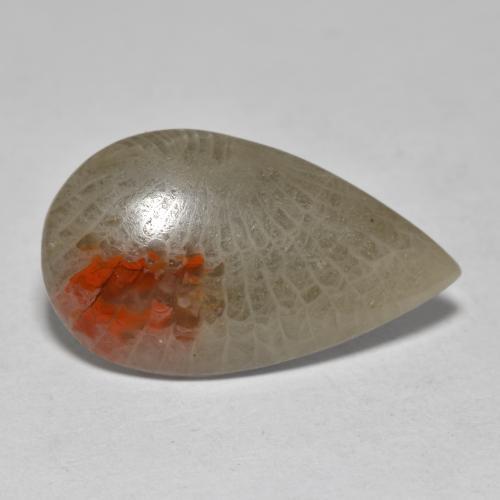 10.70カラットの天然マルチカラーサンゴ（23.6×13.9 mm・洋梨の形）