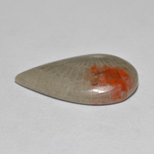 10.70カラットの天然マルチカラーサンゴ（23.6×13.9 mm・洋梨の形）