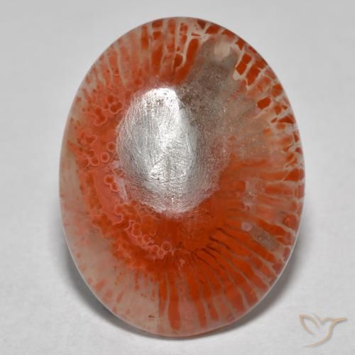 8.54カラットの天然マルチカラーサンゴ（18.9×14.4 mm・オーバルカット）
