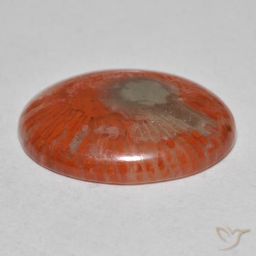 8.54カラットの天然マルチカラーサンゴ（18.9×14.4 mm・オーバルカット）