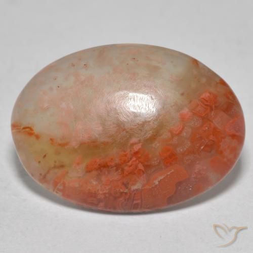 8.13ct 天然 マルチカラー サンゴ, 楕円形, 半透明
