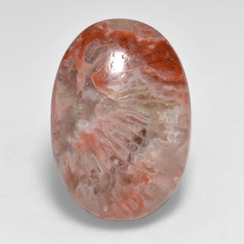 7.40カラットの天然マルチカラーサンゴ（17.4×12.1 mm・オーバルカット）