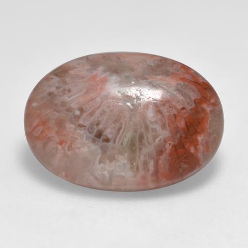 7.40カラットの天然マルチカラーサンゴ（17.4×12.1 mm・オーバルカット）