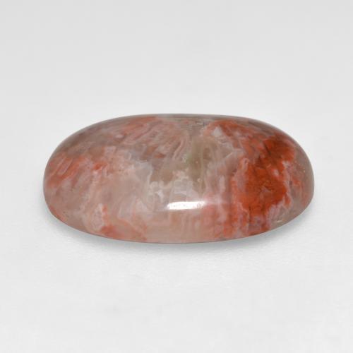 7.40カラットの天然マルチカラーサンゴ（17.4×12.1 mm・オーバルカット）