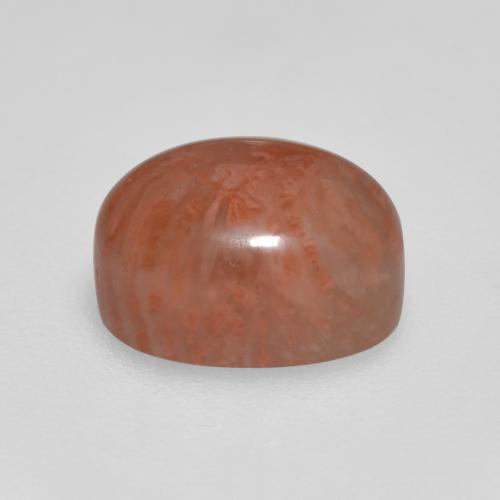 2.11カラットの天然マルチカラーサンゴ（8.6×6 mm・オーバルカット）