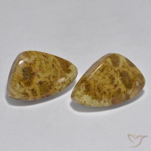 Shop natural 16.29ct マルチカラー サンゴ gems, ファンシー, from インドネシア at GemSelect. In stock, global shipping!