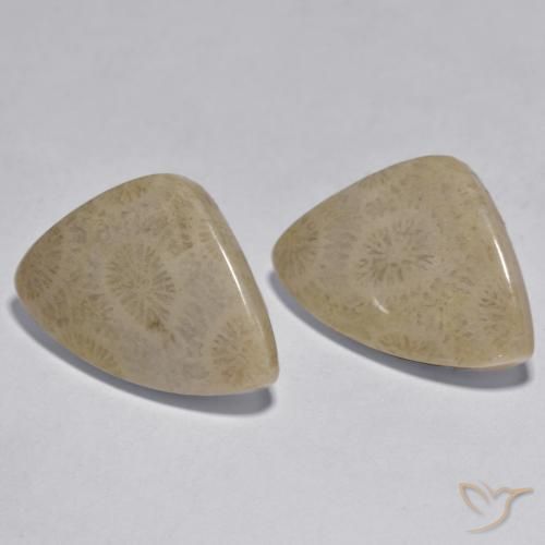 Shop natural 17.33ct マルチカラー サンゴ gems, ファンシー, from インドネシア at GemSelect. In stock, global shipping!