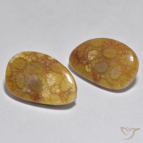 Shop natural 16.46ct マルチカラー サンゴ gems, ファンシー, from インドネシア at GemSelect. In stock, global shipping!