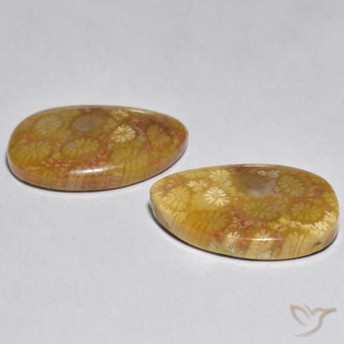 Shop natural 16.46ct マルチカラー サンゴ gems, ファンシー, from インドネシア at GemSelect. In stock, global shipping!