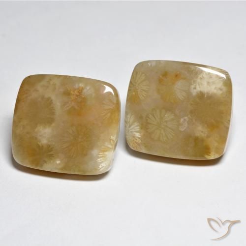Shop natural 31.45ct マルチカラー サンゴ gems, クッション, from インドネシア at GemSelect. In stock, global shipping!