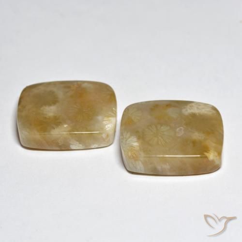Shop natural 31.45ct マルチカラー サンゴ gems, クッション, from インドネシア at GemSelect. In stock, global shipping!