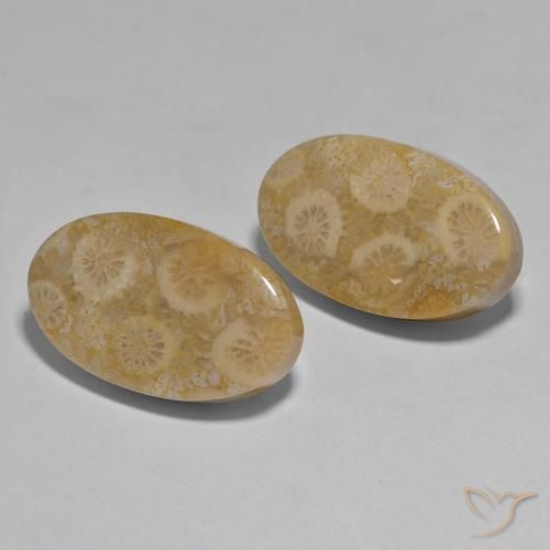 Shop natural 27.96ct マルチカラー サンゴ gems, 楕円形, from インドネシア at GemSelect. In stock, global shipping!